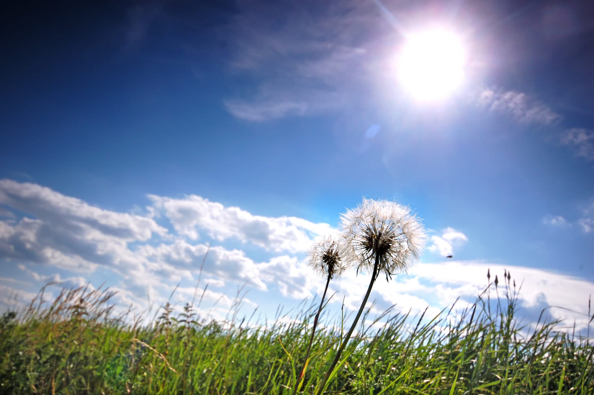 Júl 2021 sa zaradil medzi najteplejšie júly v histórii slovenských meteorologických meraní