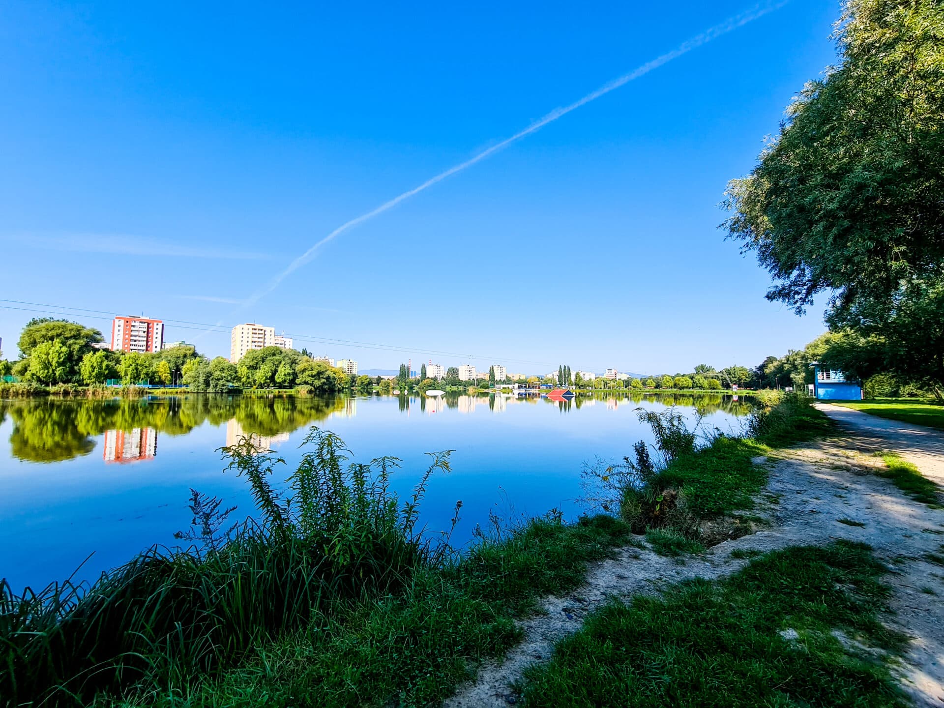 Mesto Košice bude v pondelok pokračovať v odstraňovaní siníc z vôd košického Jazera