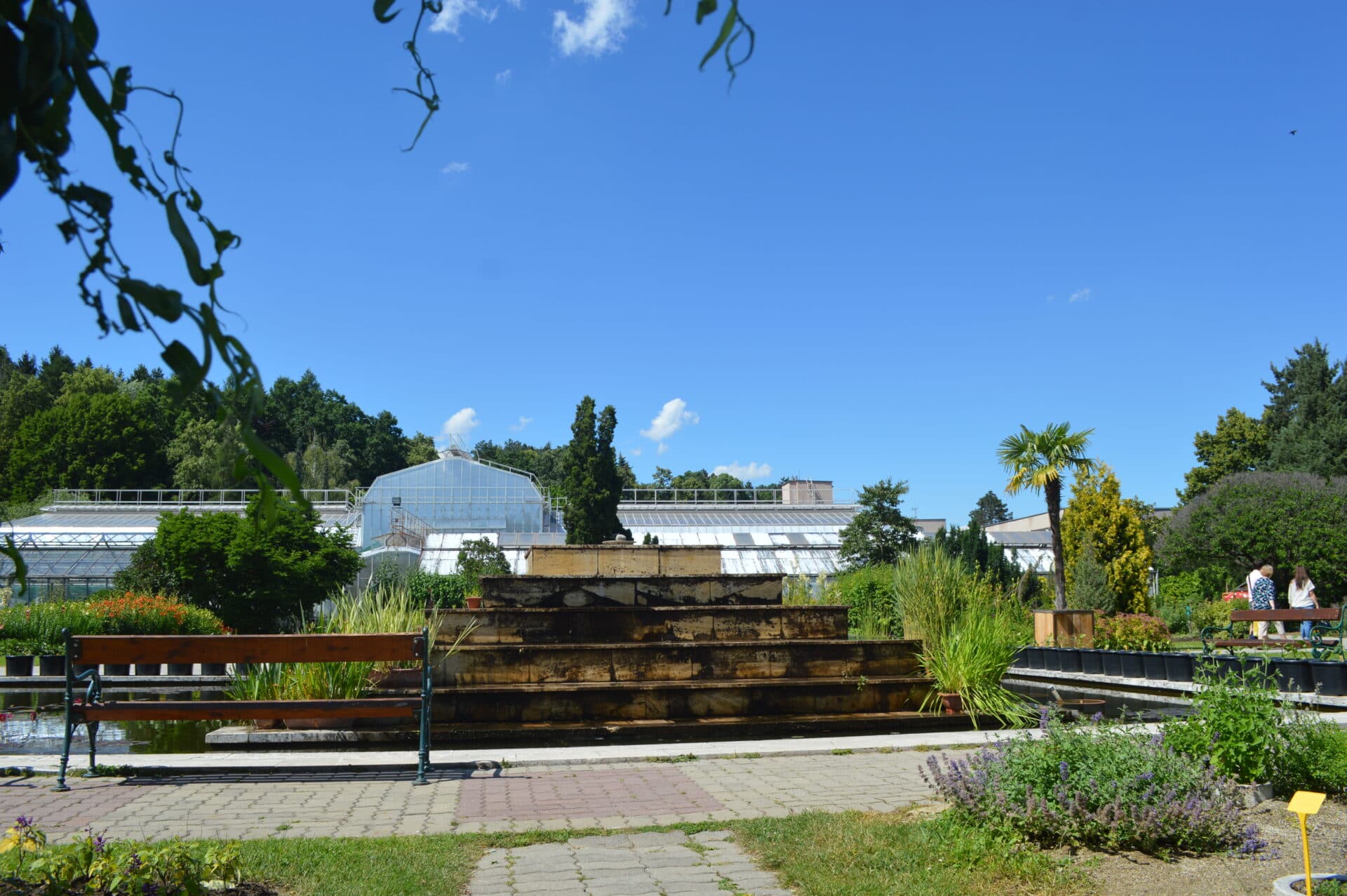 Botanická záhrada UPJŠ si pripomína 75. výročie, ponúka zhruba 30 hektárov plných zelene