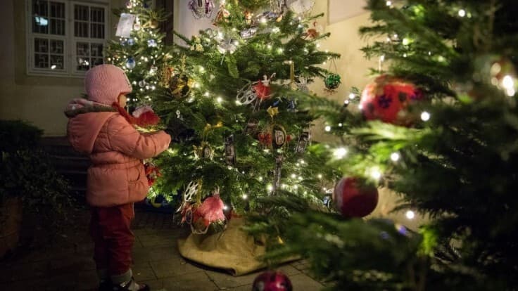 Centrám pre deti a rodiny rezort obrany daruje stromčeky zo svojich lesov