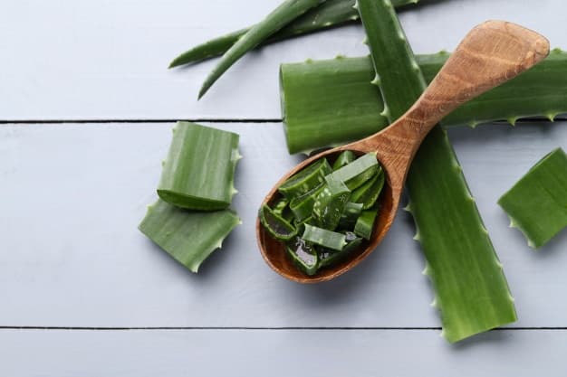 Zázračný domáci liečiteľ? Spoznajte účinky Aloe Vera!