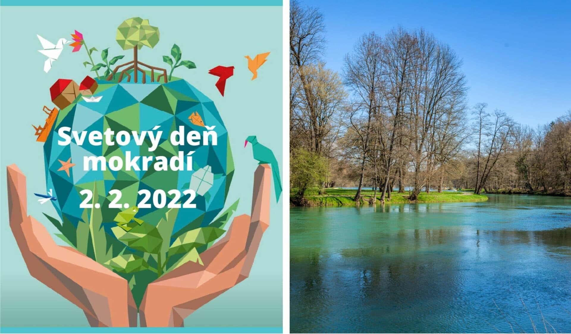 Strácame druhy viazané na vodu, tvrdí Ochrana dravcov na Slovensku