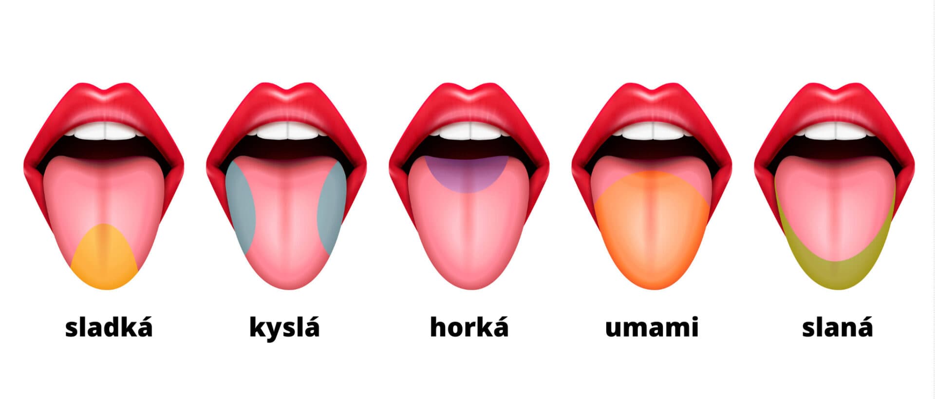 Piata základná chuť UMAMI. Nachádza sa aj v týchto potravinách