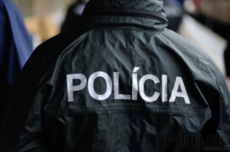 Policajný zbor by mal mať menej riadiacich funkcionárov a viac výkonných policajtov