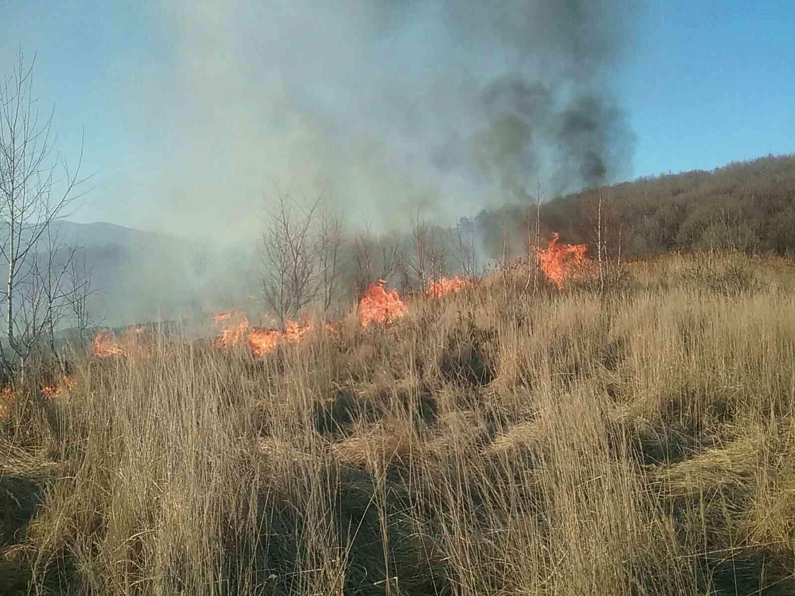 V Košiciach zaznamenali zvýšený výskyt požiarov trávnatých plôch. TAKTO sa zbavíte odpadu bez vypaľovania (FOTO)
