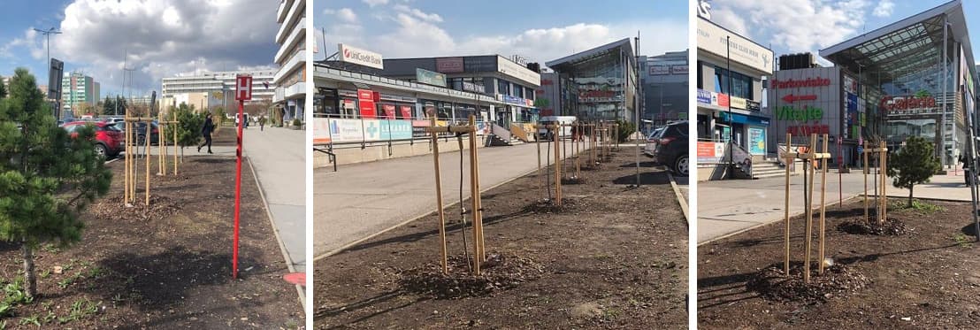 Skrýša pre potkanov je minulosťou, nahradila ju zelená plocha s javormi