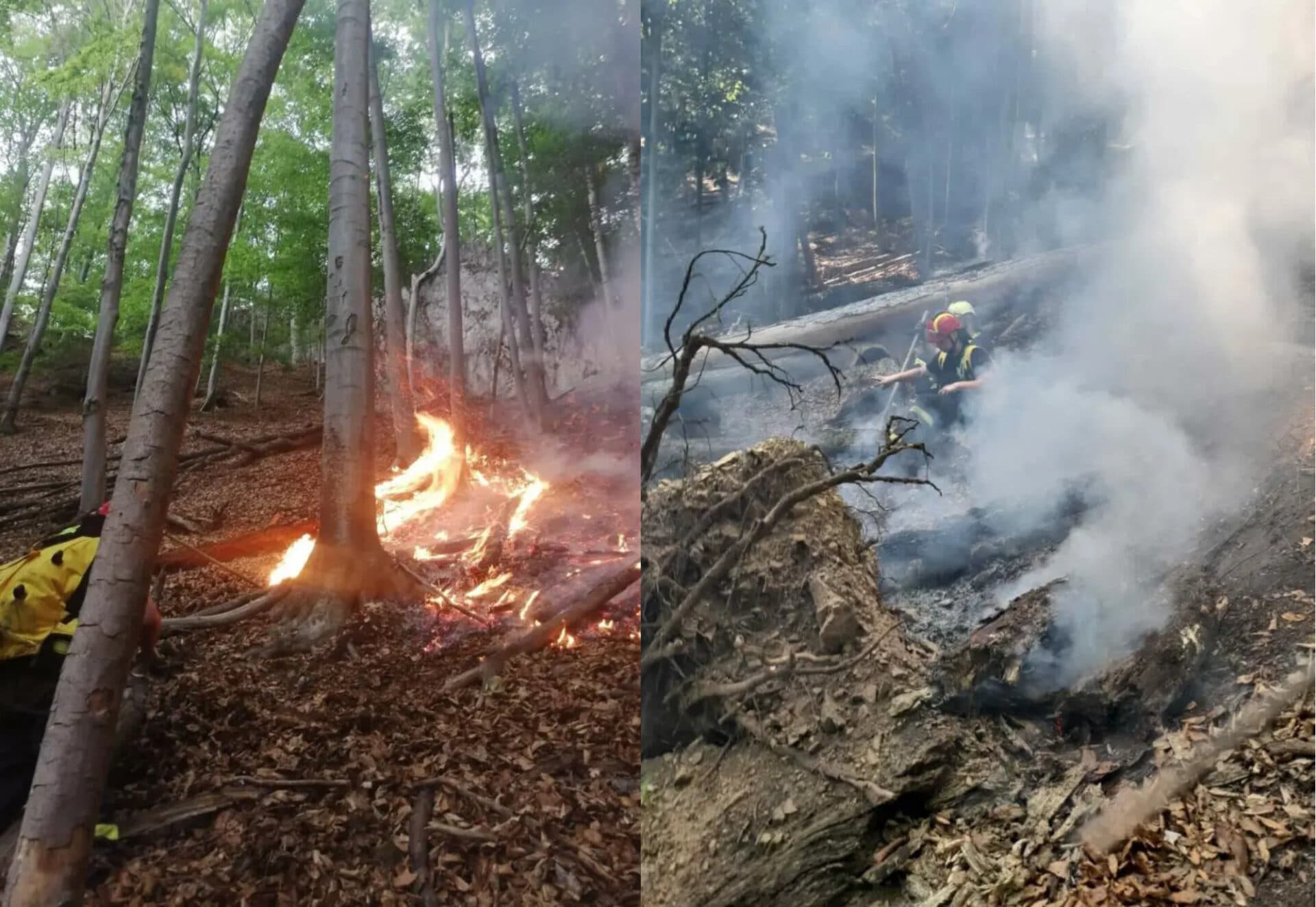 Požiar v Malej Lodine sa presunul severnejšie (FOTO)