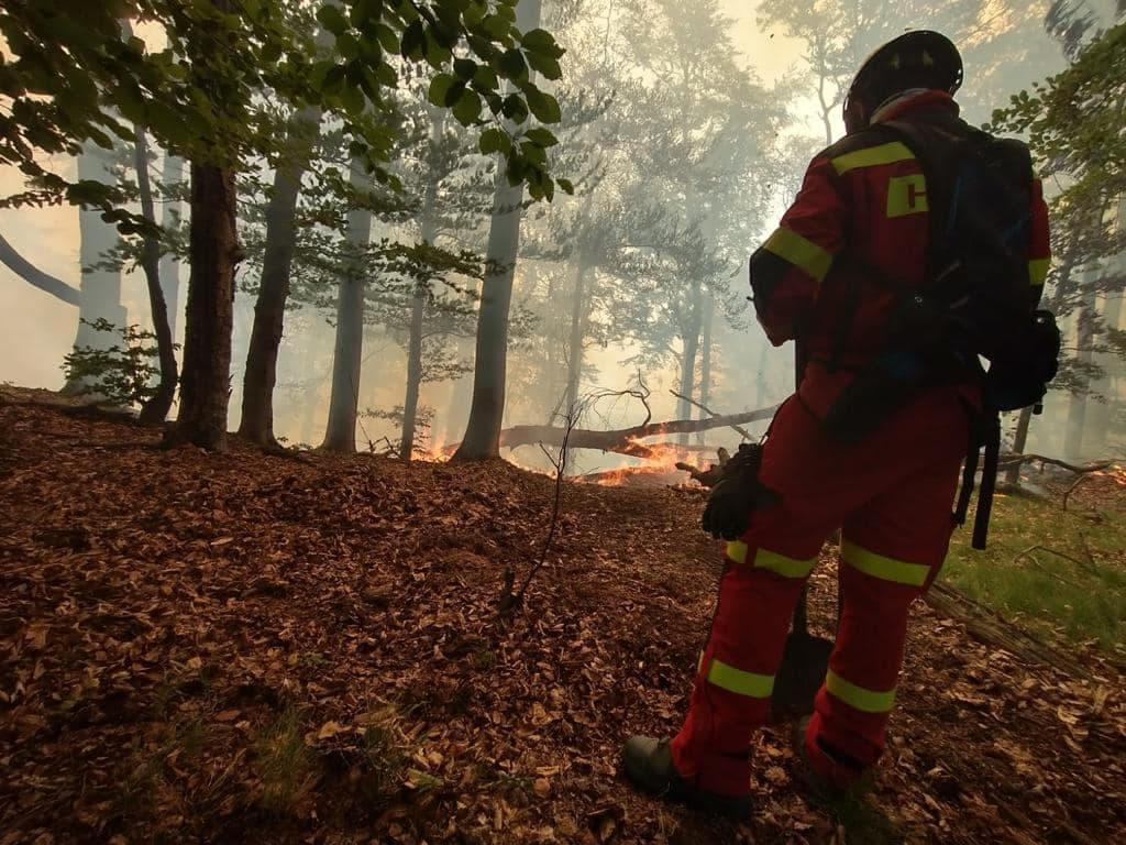 Horúce počasie zvyšuje nebezpečenstvo vzniku požiarov