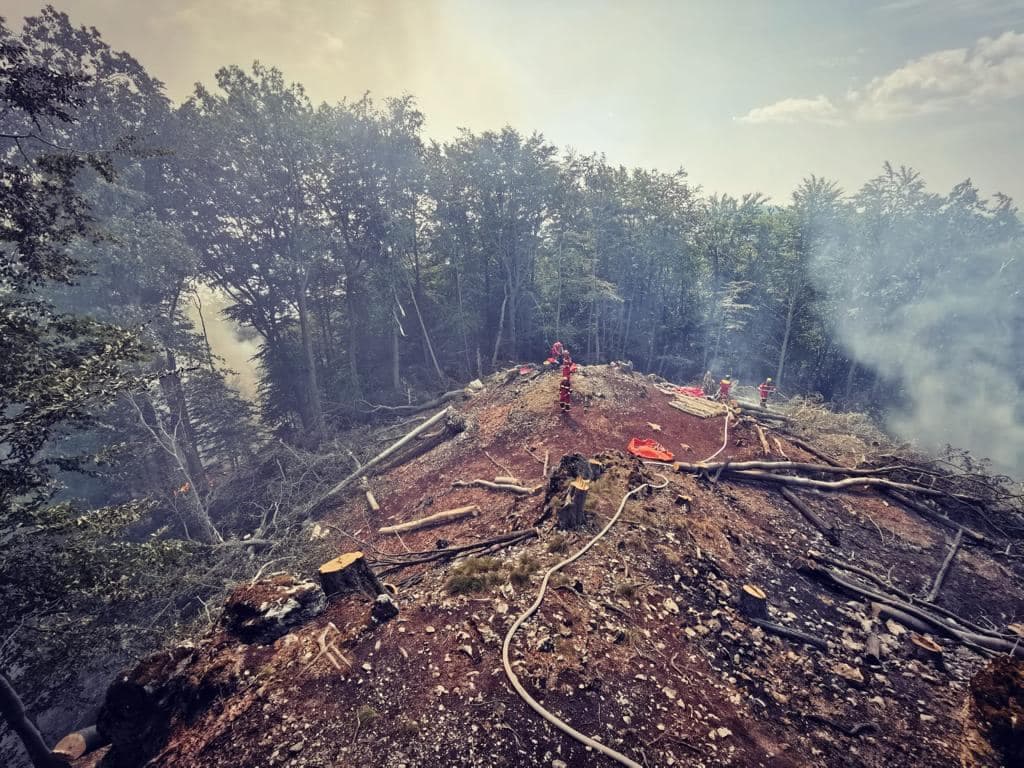 Smutný pohľad na spustošený les v Malej Lodine (FOTO)
