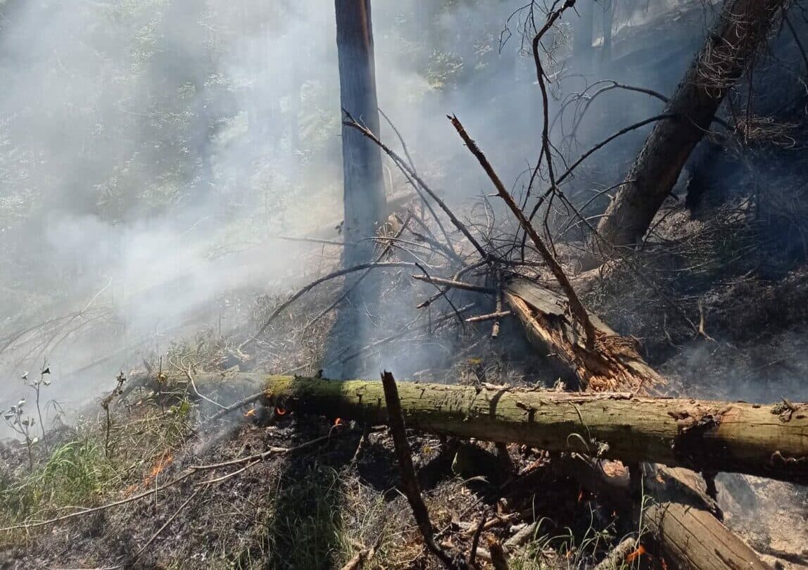 Slovákom môže hroziť nedostatok palivového dreva