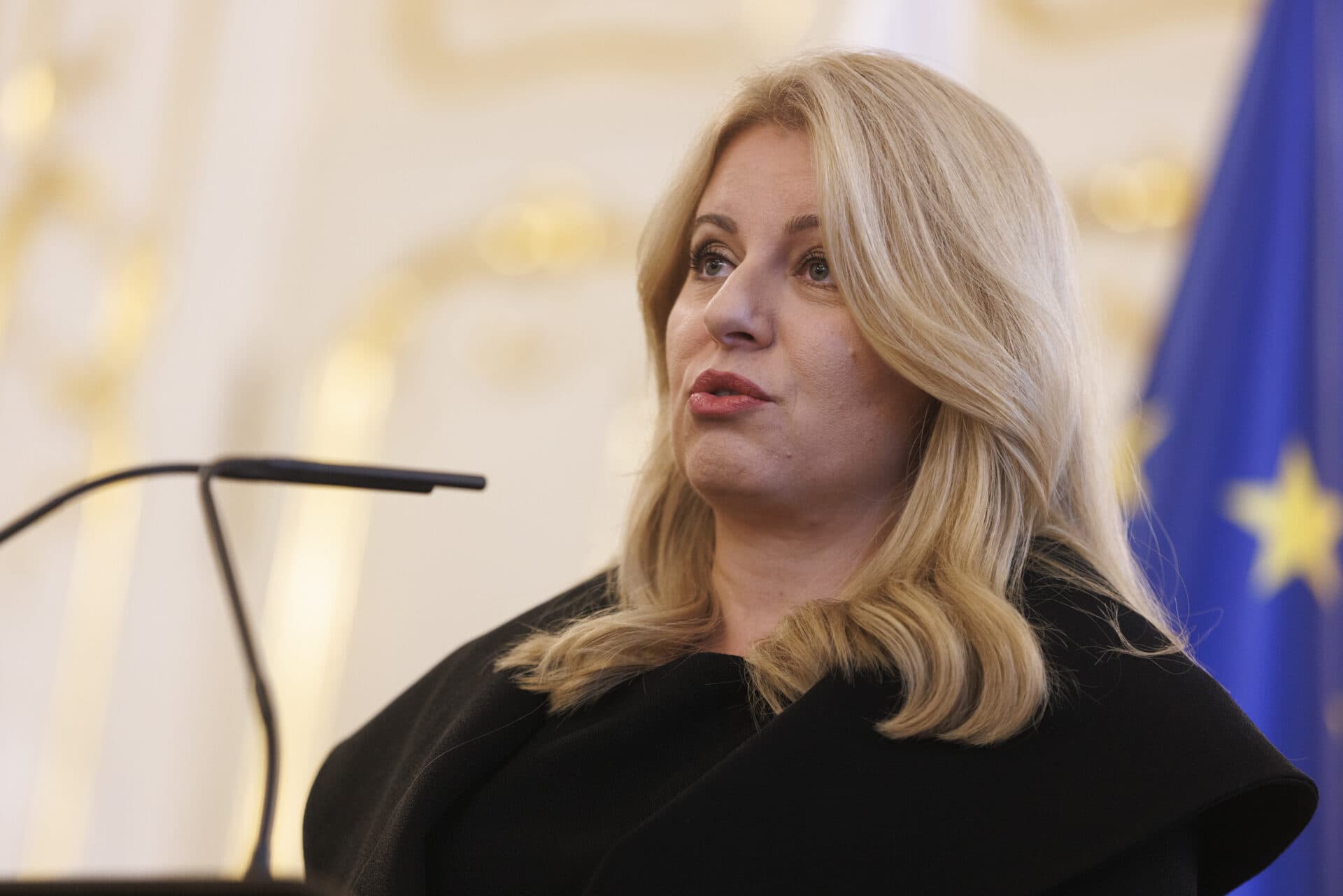 Prezidentka podpísala energetické novely, majú pomôcť v boji s energiami