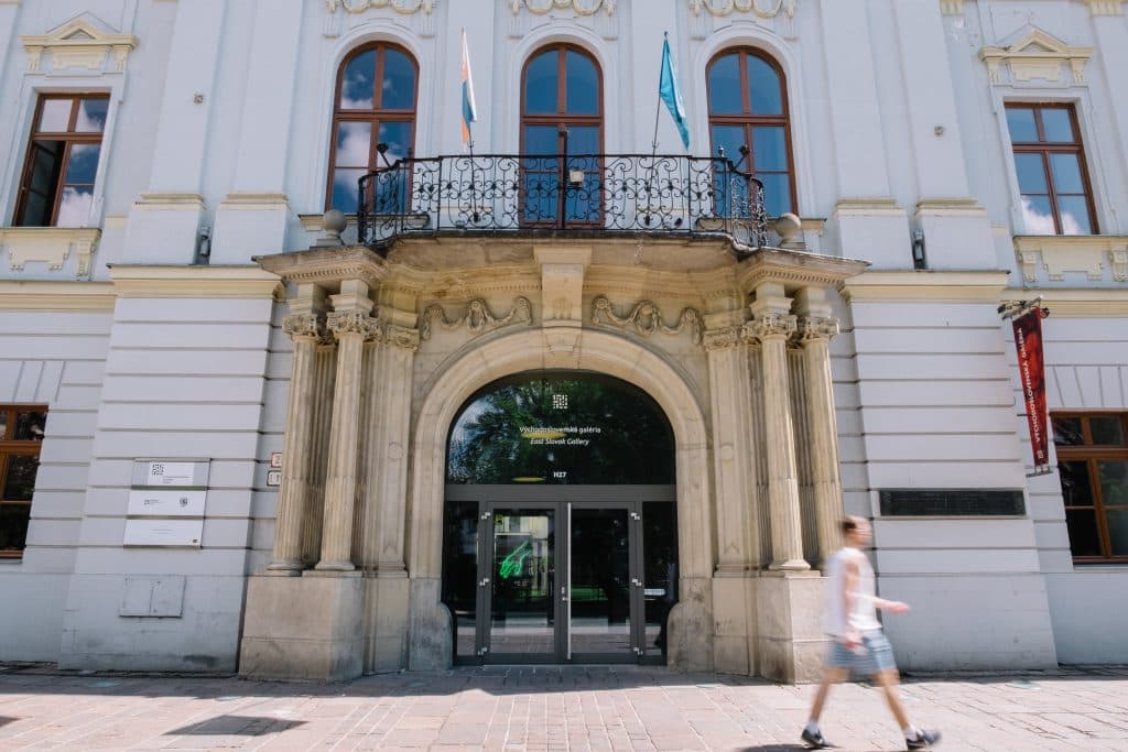 Galéria, ZOO, ale aj múzeá ponúkajú Košičanom bezplatné vstupy