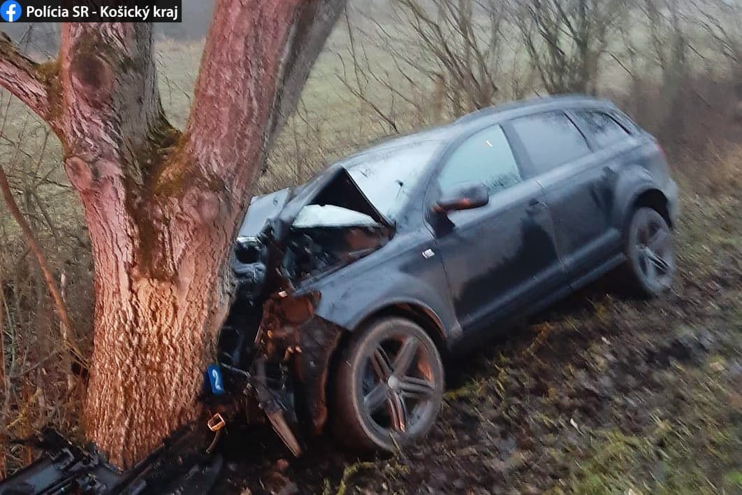 Vodič pri náraze do stromu utrpel ťažké zranenia (FOTO)