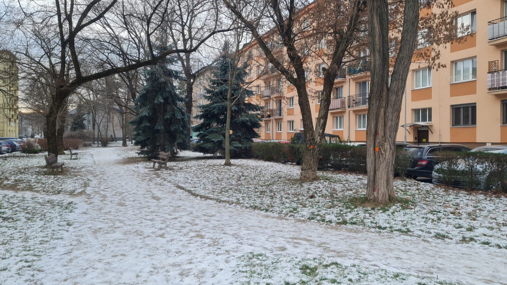 V meste sa vyrúbalo niekoľko stromov. Plánuje sa náhradné vysádzanie?