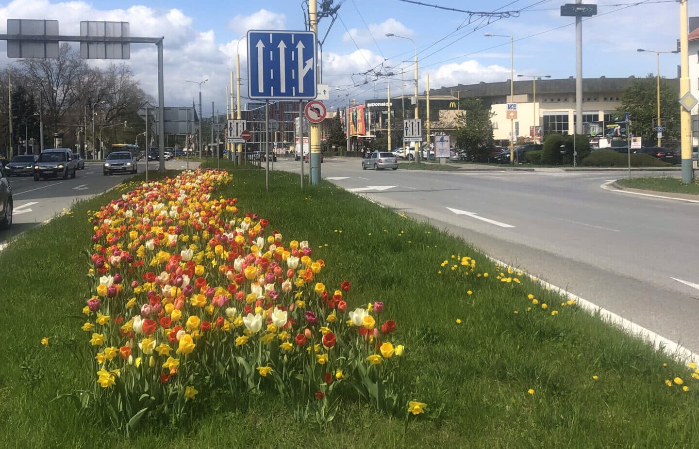 Auto Google Street View sa objaví aj v Košiciach. Kedy ho budeme môcť vidieť?