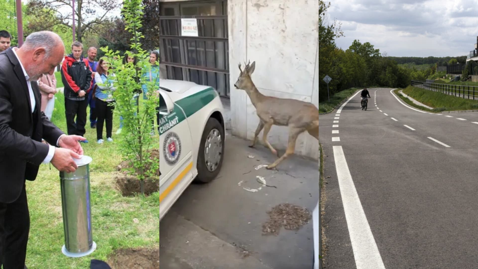 Čo sa dialo v Košiciach (19. týždeň)