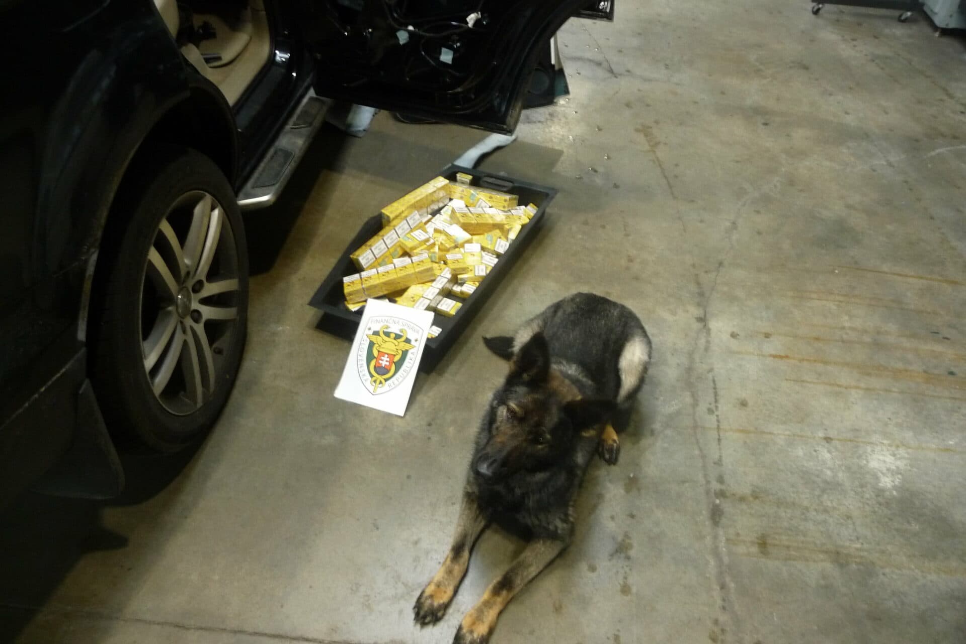 Policajný pes vyňuchal vo vozidle pašované cigarety za takmer 2-tisíc eur (FOTO)