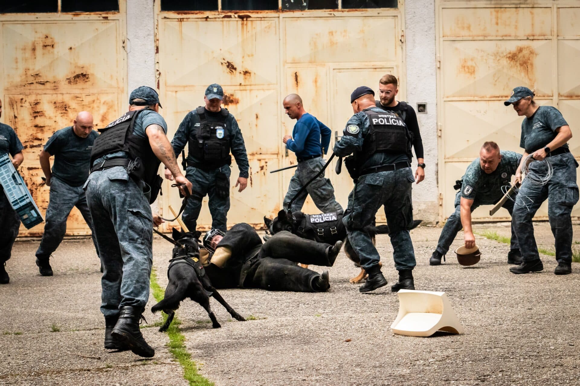 Mestskí policajti z celého Slovenska absolvujú v Košiciach spoločný trojdňový taktický tréning