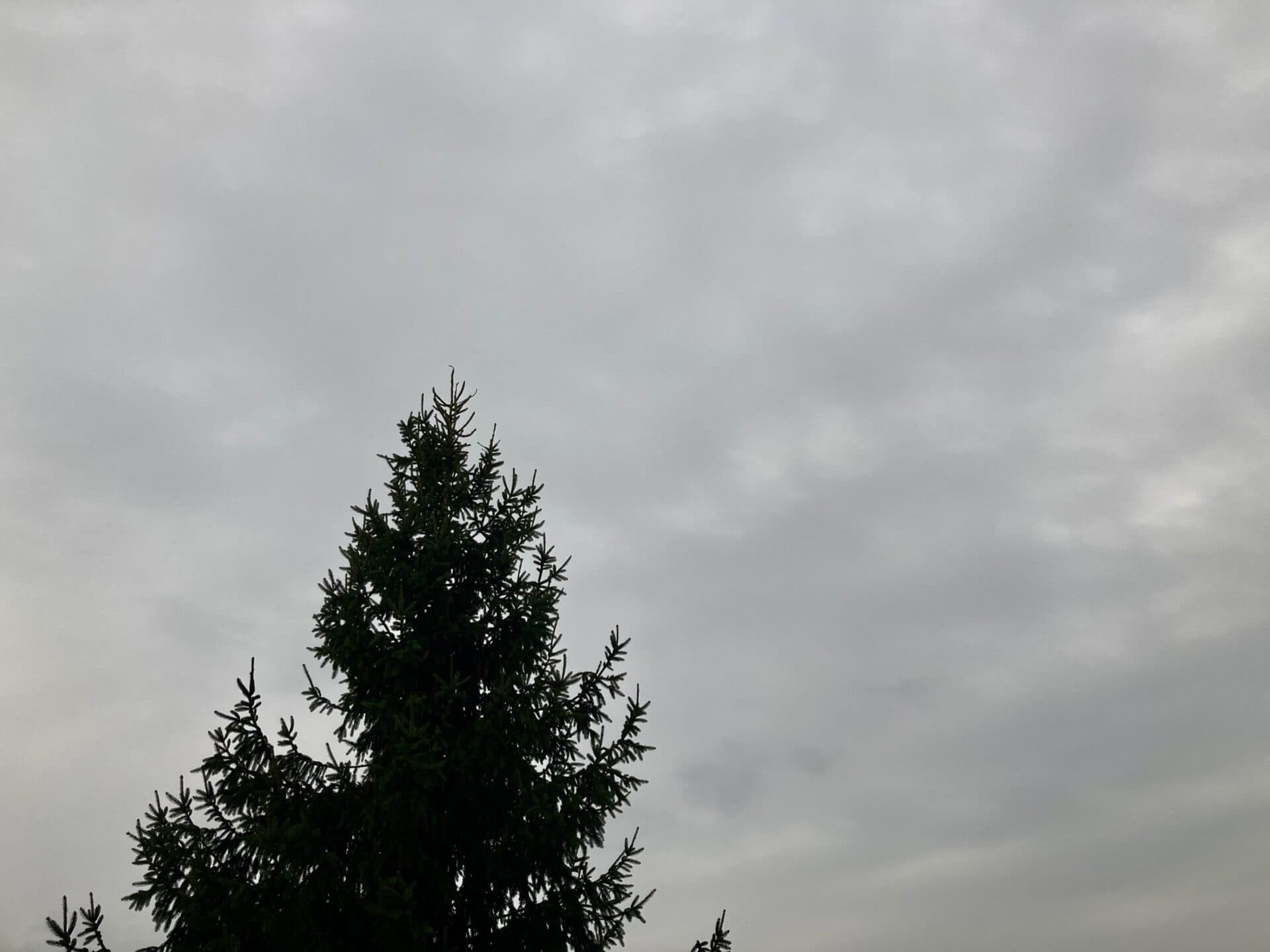 Dnes bude jasno až polooblačno, s teplotami do troch stupňov