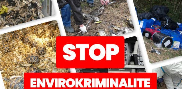 Envirokriminalita na Slovensku rastie. Štatistiky ukazujú nárast zistených trestných činov