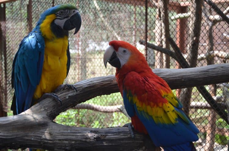 Jednotkári zo základnej školy POZOR! V Zoo na vás čaká prekvapenie