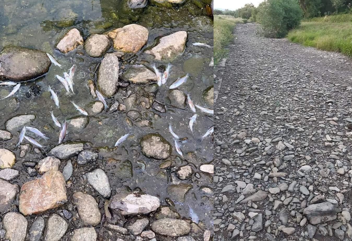 Rieka Bodva vyschla! Poznáme dôvod (FOTO)