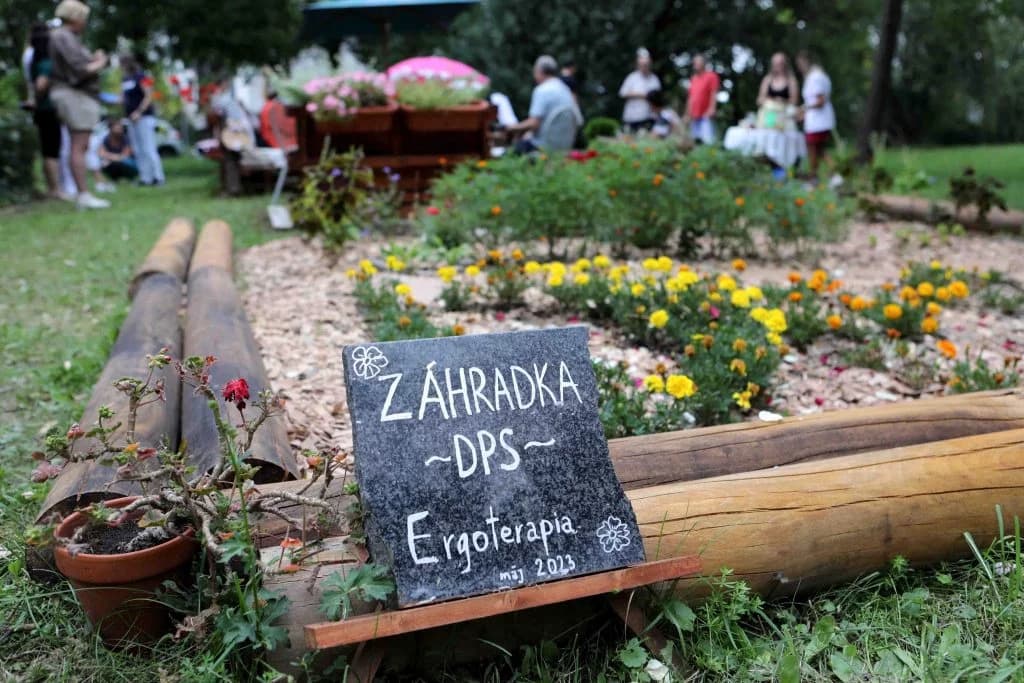 Pacienti vybudovali komunitnú záhradu. V stacionári našli opäť radosť