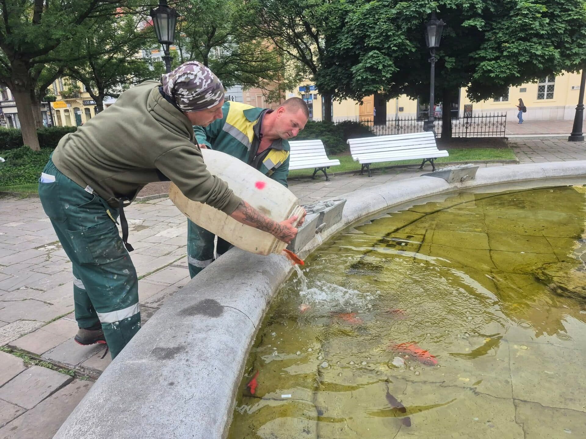 Rybky sa po zime vrátili do fontány pri Immaculate (FOTO)