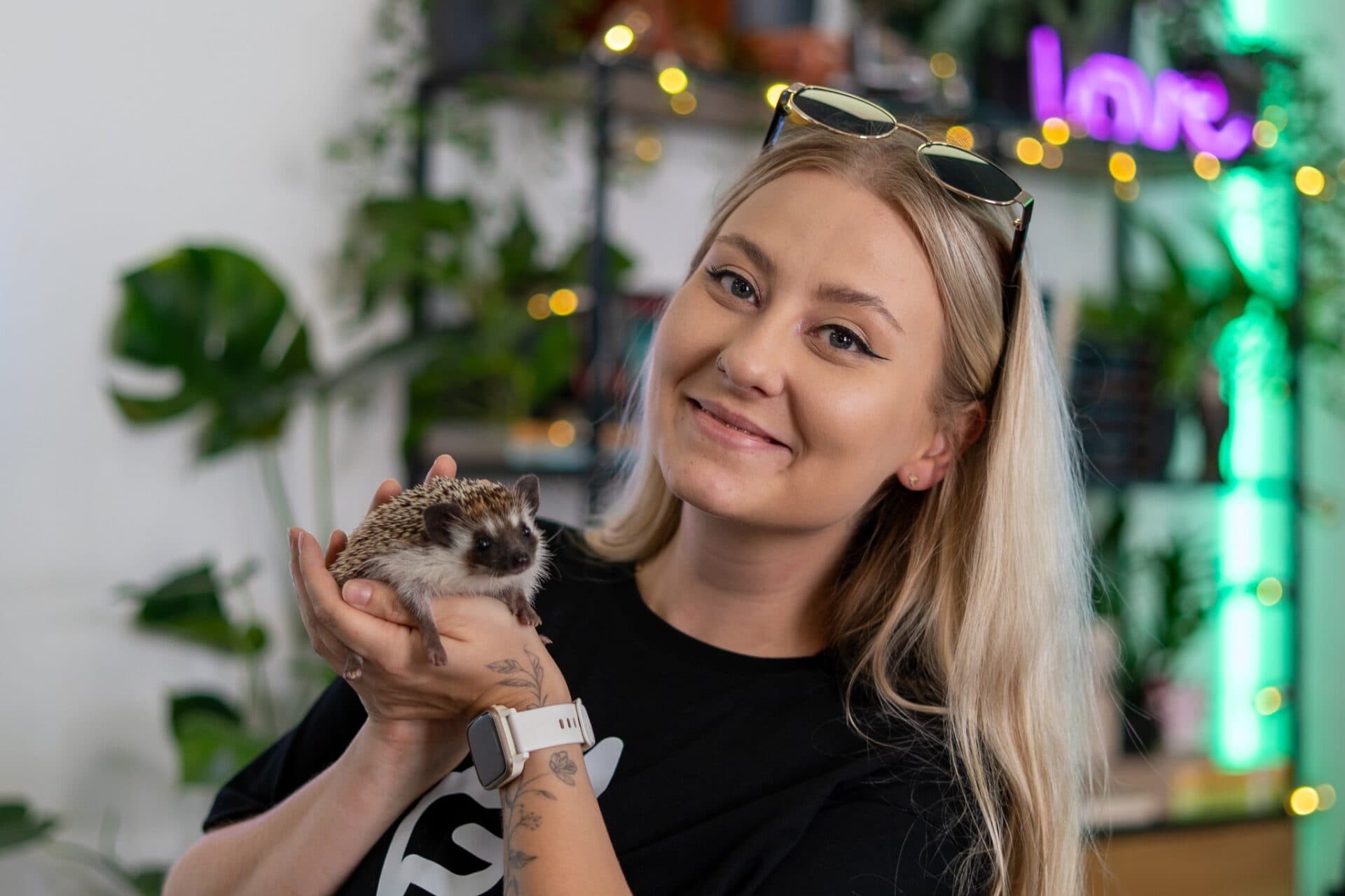 Ježkovia Ramon a Randy pomáhajú chápať naše vlastné emócie