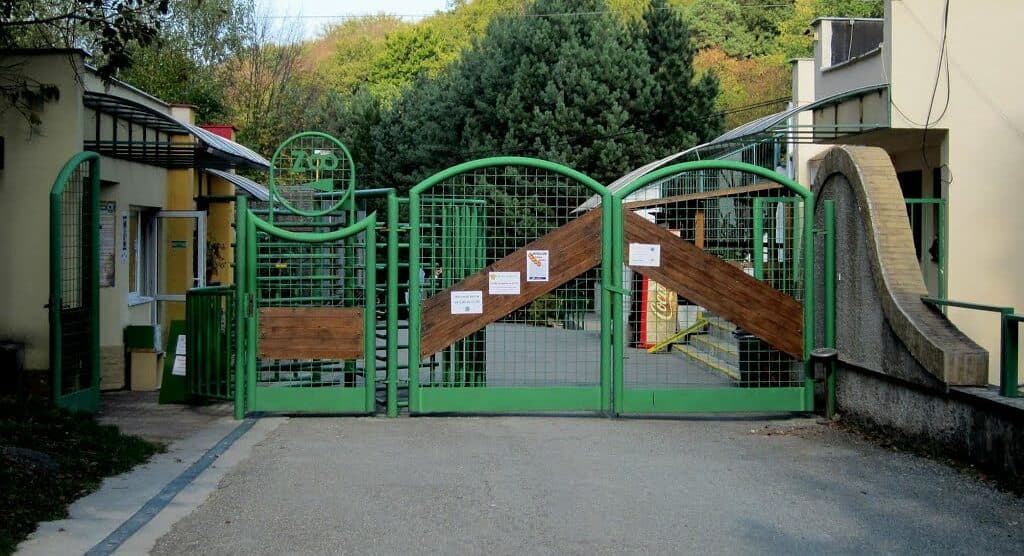 Zoologická záhrada v Košiciach je po kalamite opäť otvorená